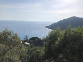 Casa Orchidea - Vista Mare meravigliosa Bonassola